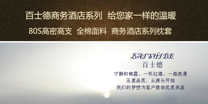 商務酒店系列，給您家一樣的溫暖