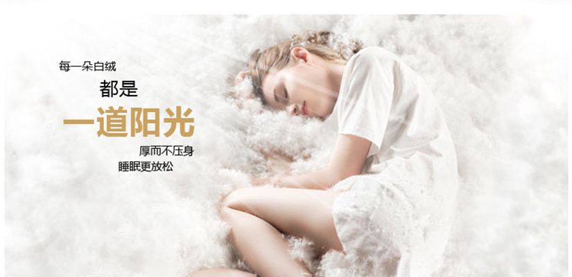 每一朵的白絨都是一道陽光