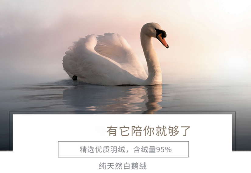 精選優(yōu)質(zhì)羽絨，有它陪您就夠了