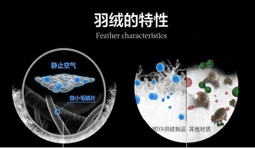 鵝絨的特性介紹