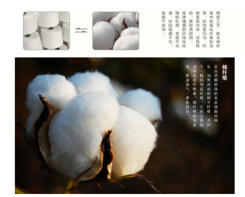 棉纖維的制作工藝