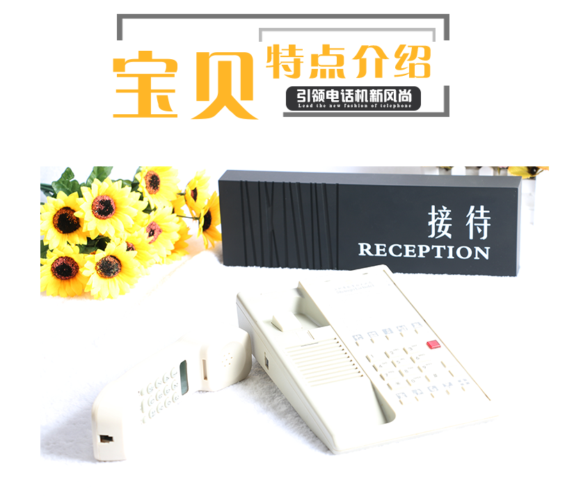 詳細的特點的介紹