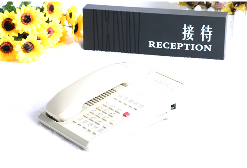 兩色電話機的展示實拍