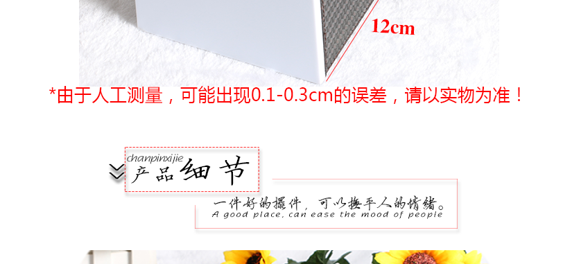 中號款尺寸標注
