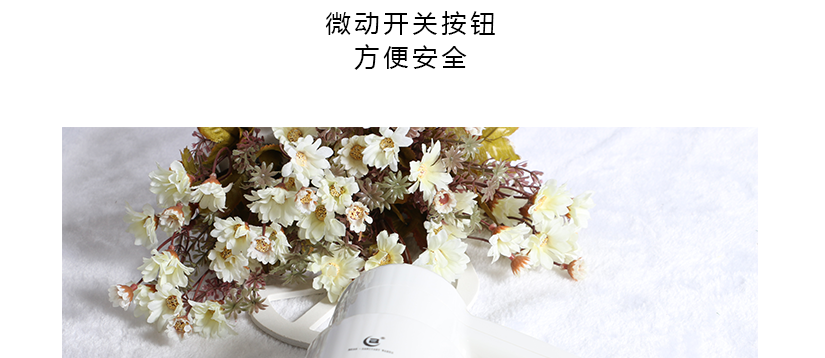 外觀造型精致