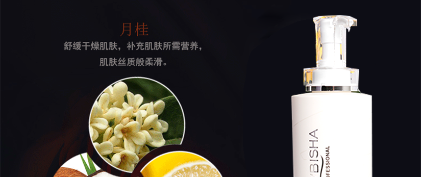 主要特點介紹