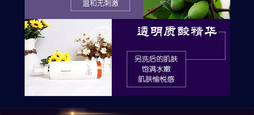 橄欖精華