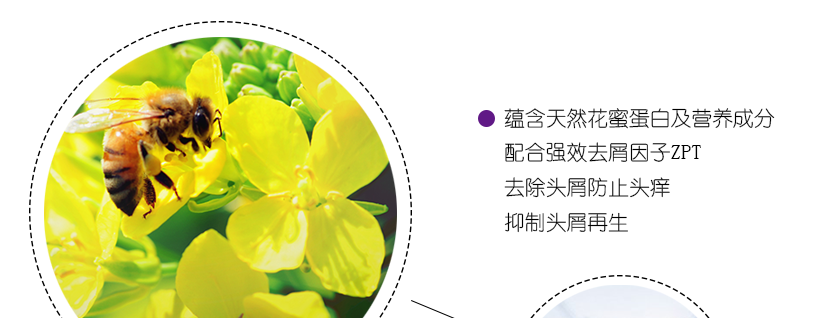 6大精華亮點