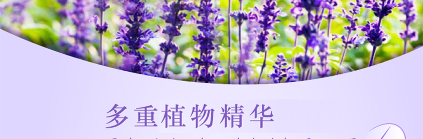 主要成分的介紹