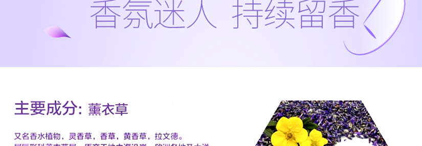 薰衣草精華