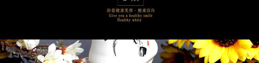 產品尺寸