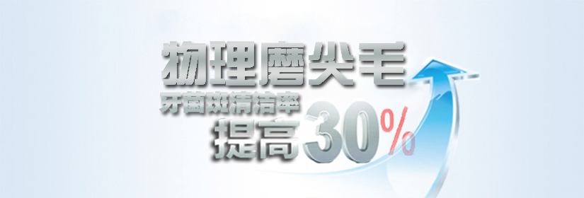 物理磨尖毛，經久耐用
