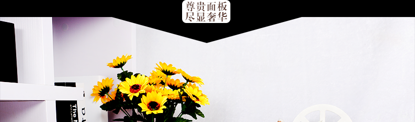 盡顯奢華的面板