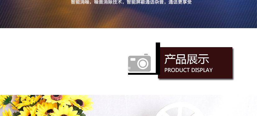 產(chǎn)品展示