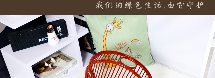 引領時尚的潮流