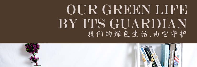 細節精華