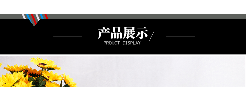產(chǎn)品展示