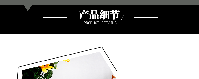 產(chǎn)品細(xì)節(jié)