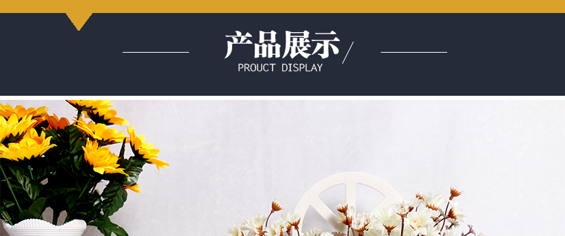 產品展示
