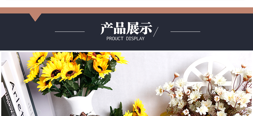 產(chǎn)品展示