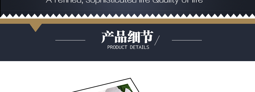 產品細節