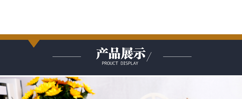 產(chǎn)品展示