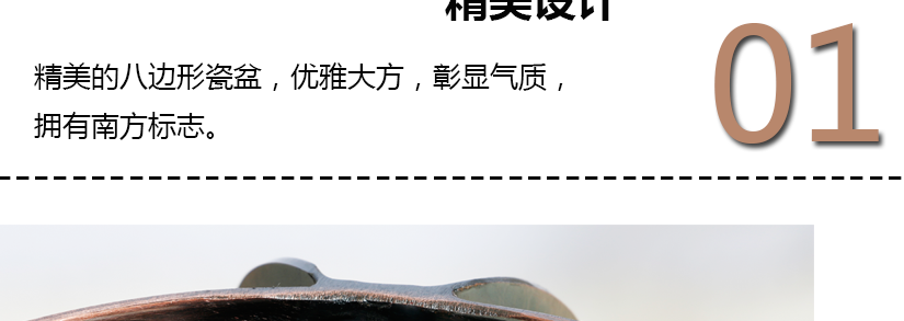 經典細節展示
