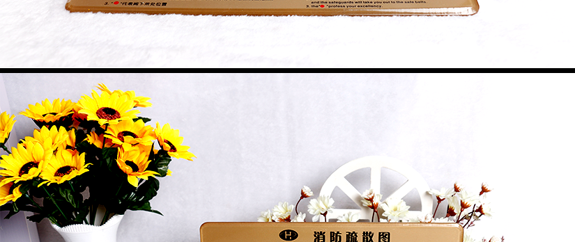 正面圖