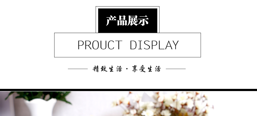側面展示