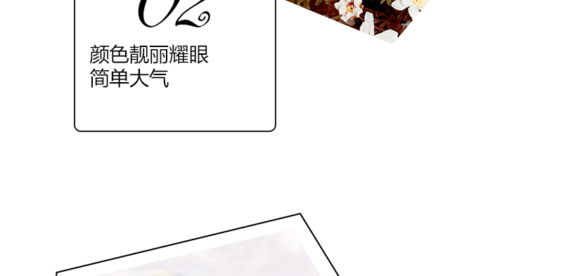 純色設(shè)計，簡約大方