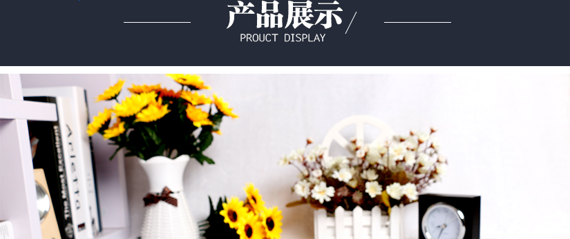 產(chǎn)品展示