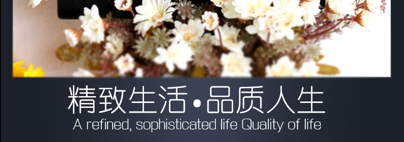 精致生活，品質人生