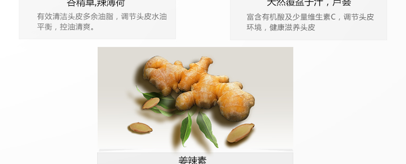油性頭皮適用