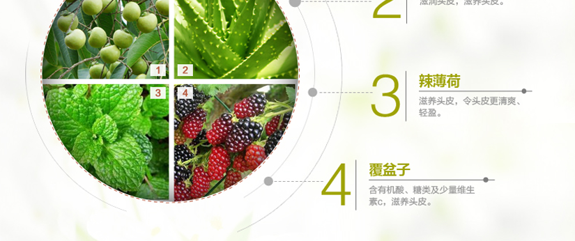控油潔凈水潤